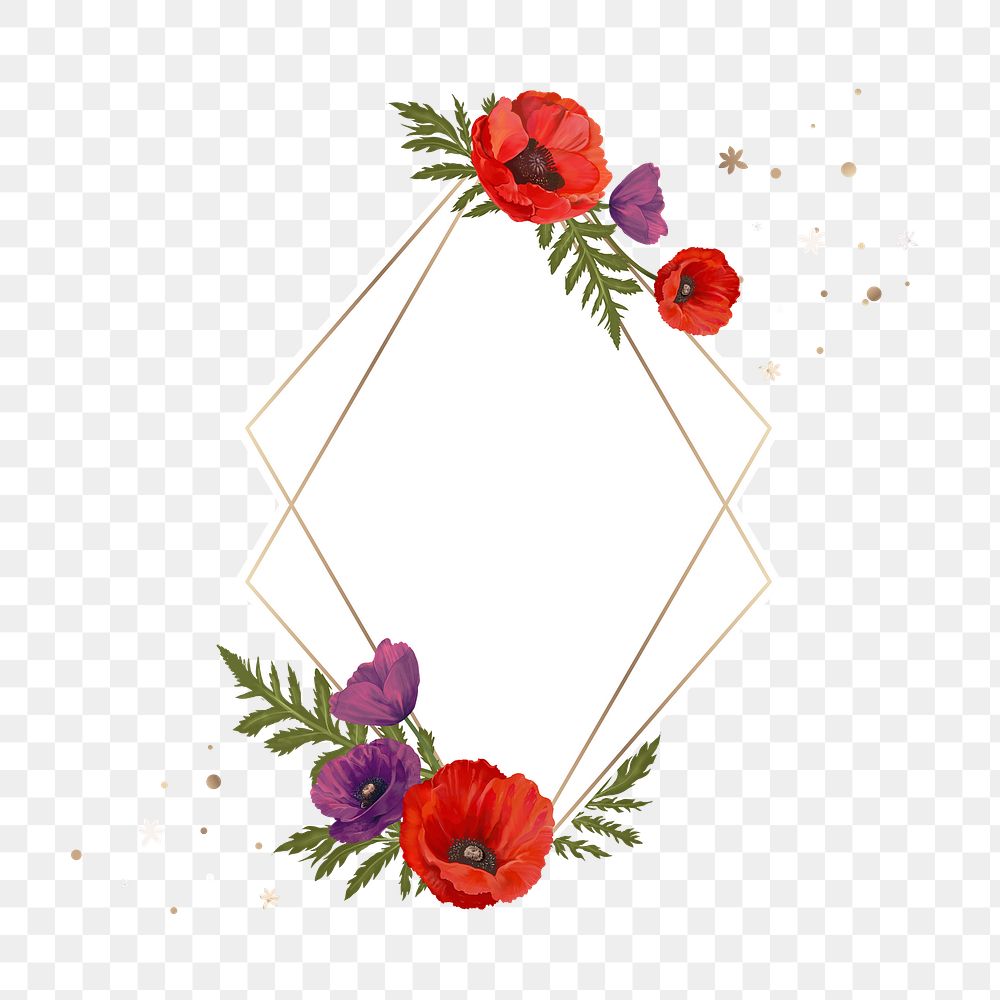 Poppy png frame, transparent background