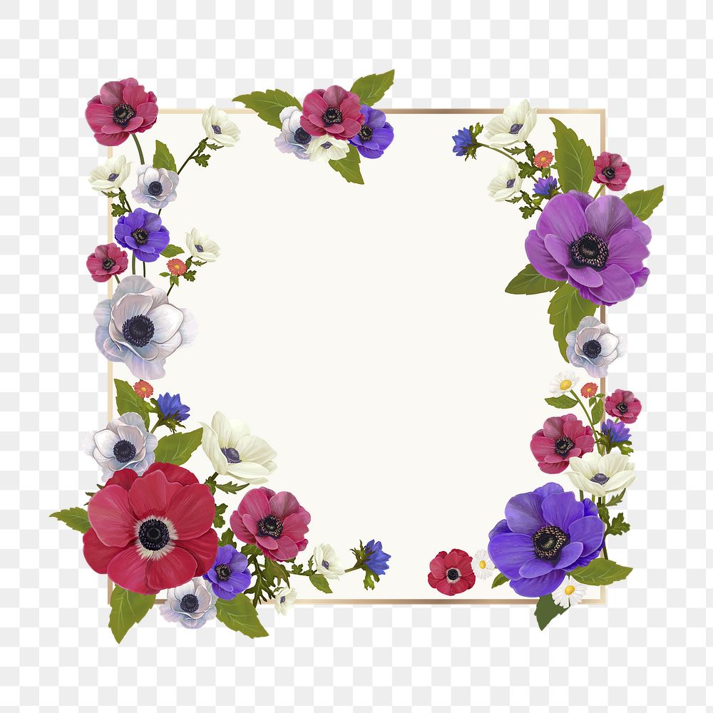 Colorful flowers png frame, transparent background