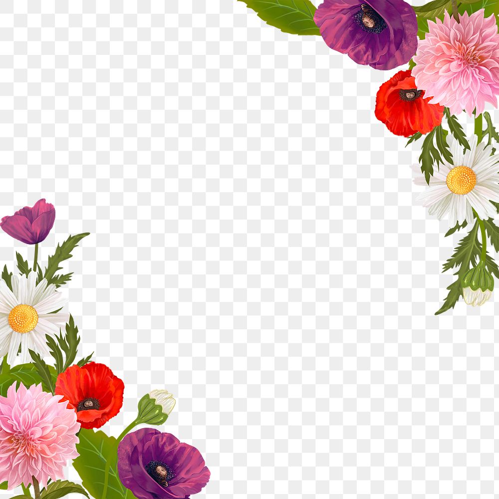 Colorful flowers png border, transparent background