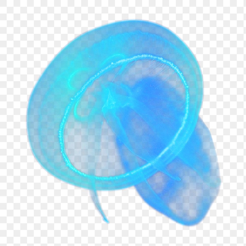 Floating jellyfish png, transparent background