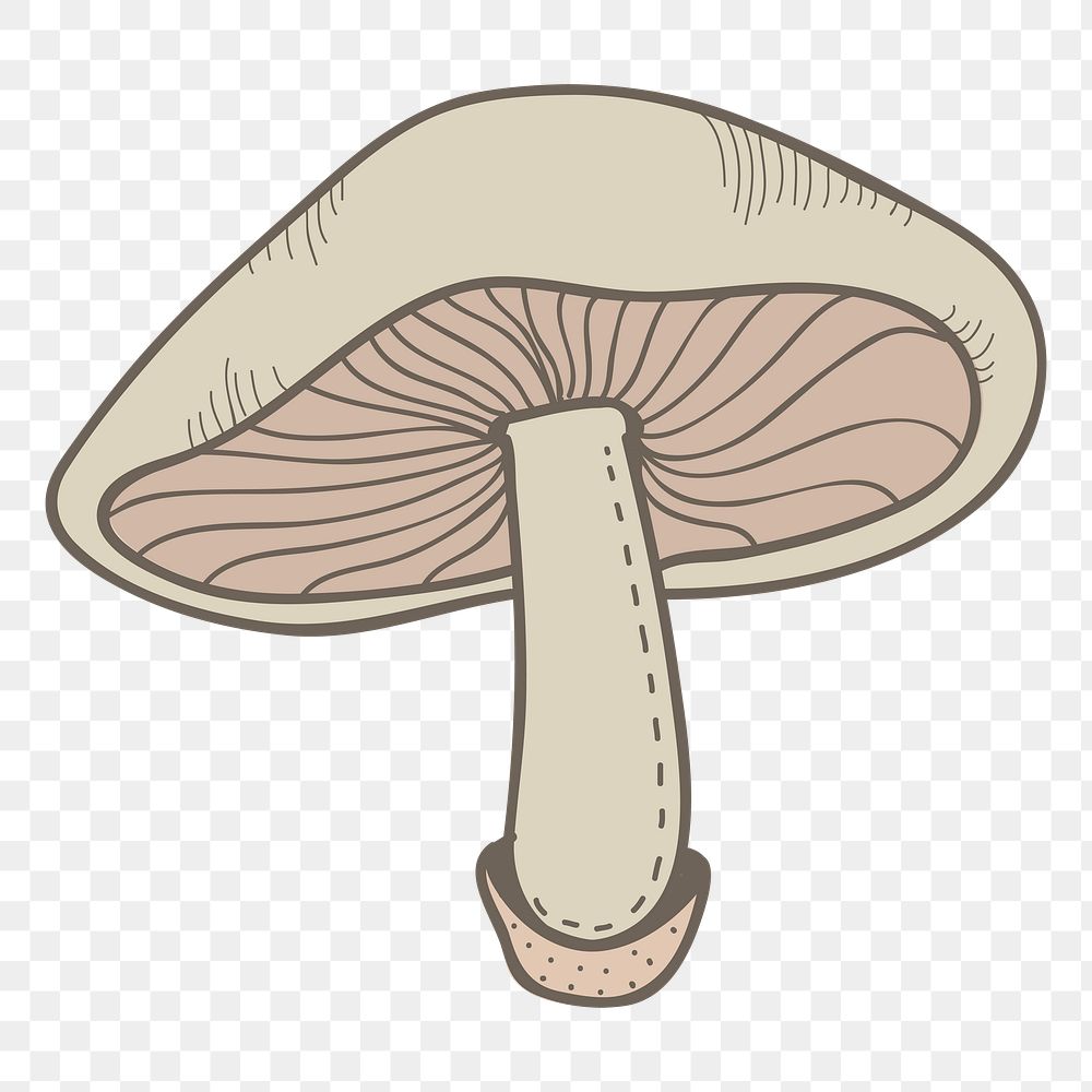 Mushroom png vegetable sticker, transparent background