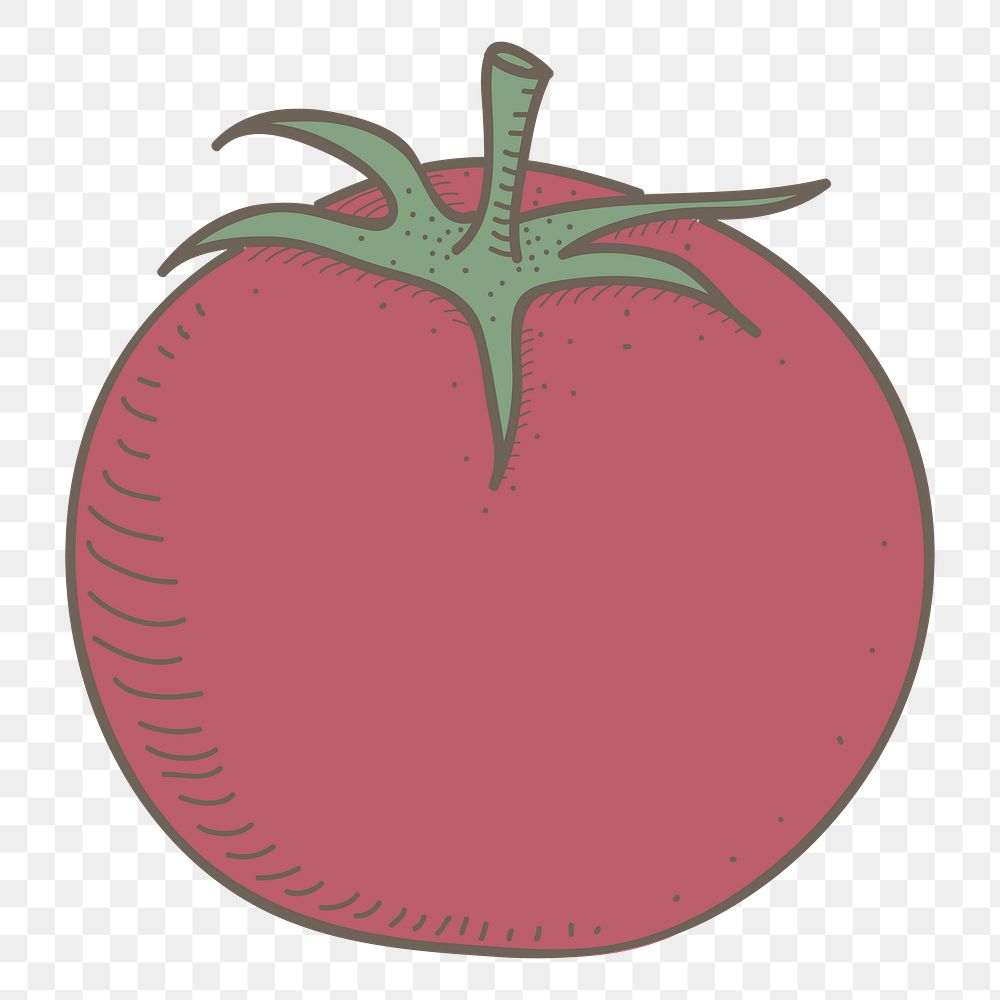 Tomato png vegetable sticker, transparent background