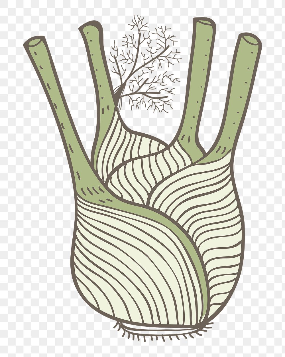 Fennel png vegetable sticker, transparent background