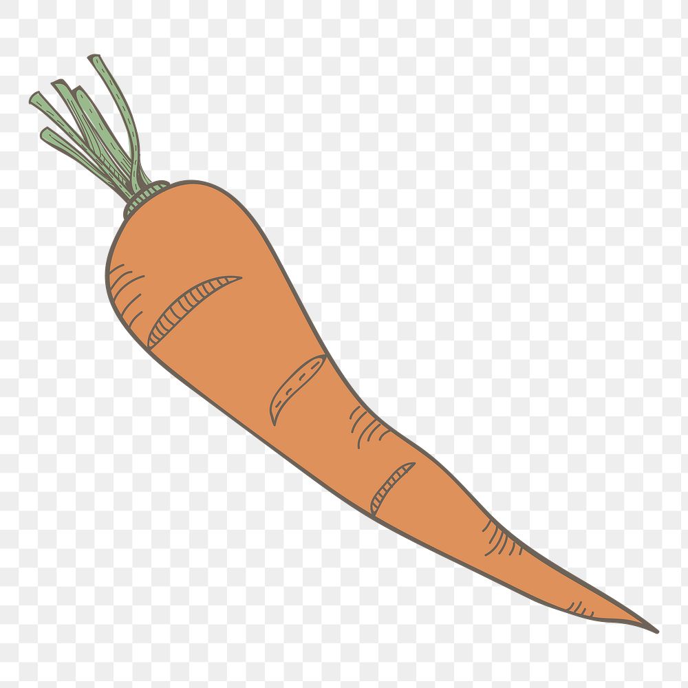 Carrot png vegetable sticker, transparent background