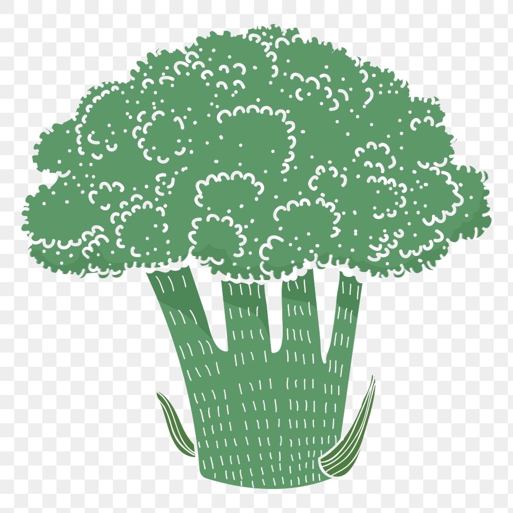 Broccoli png vegetable sticker, transparent background