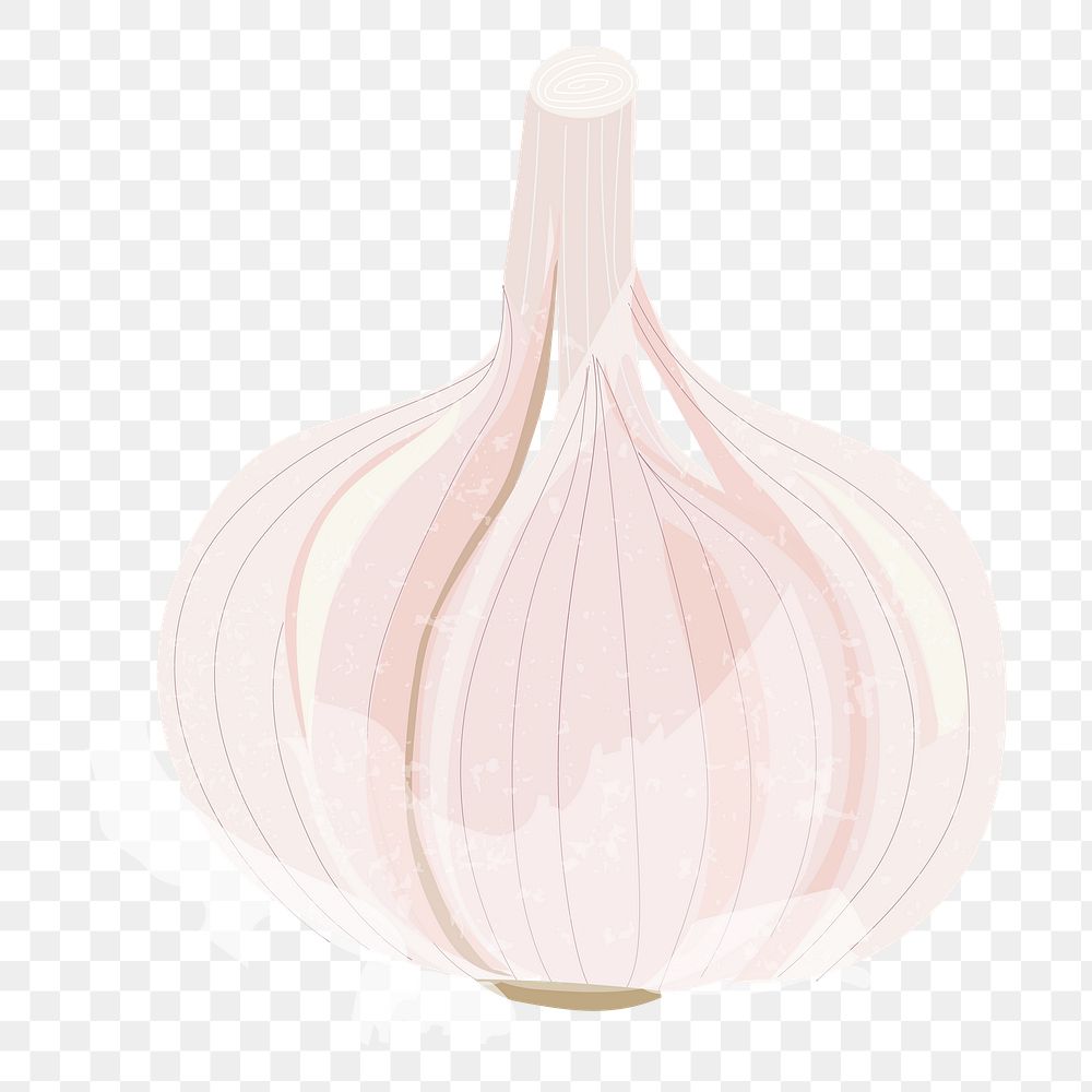 Onion png vegetable sticker, transparent background