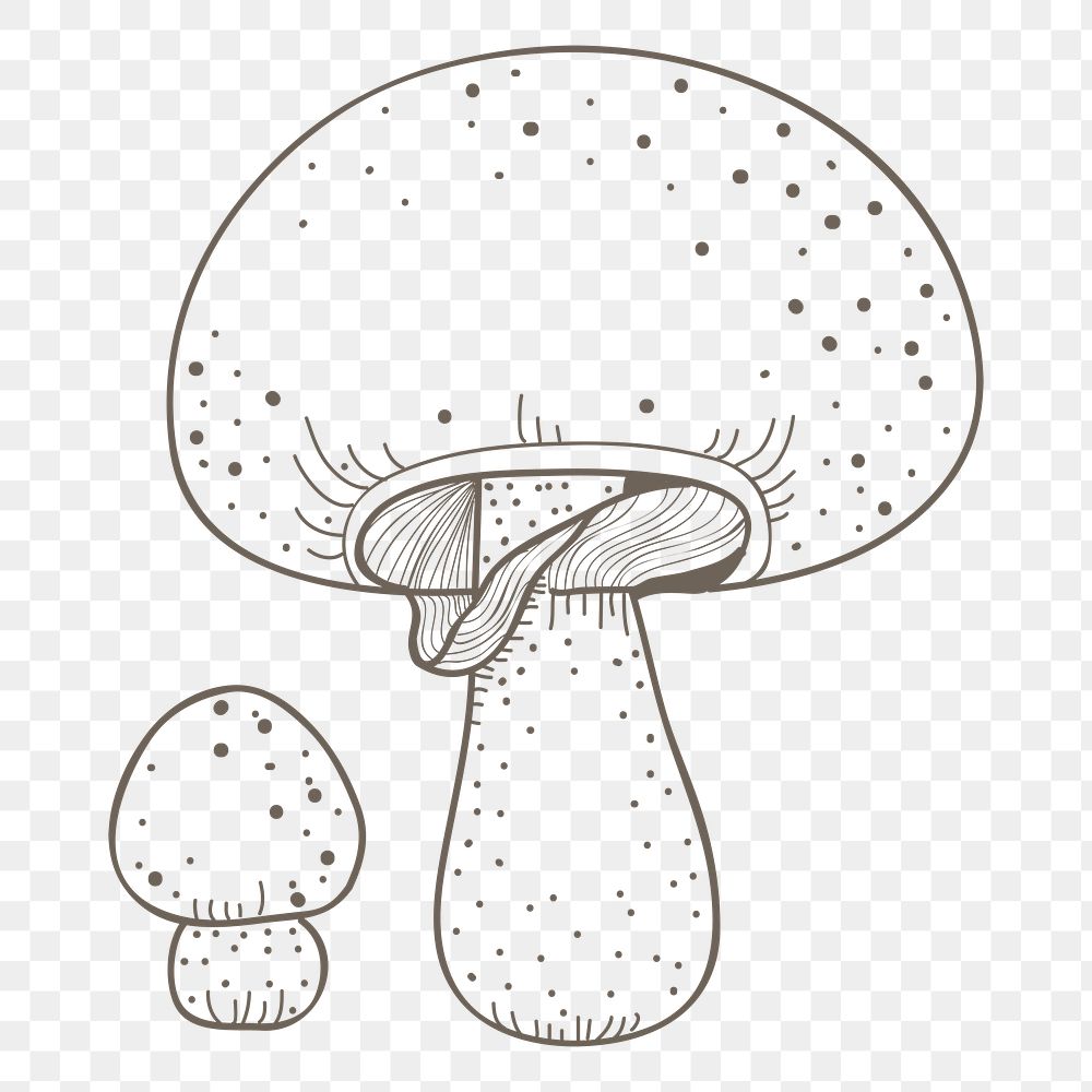 Mushroom png vegetable doodle, transparent background