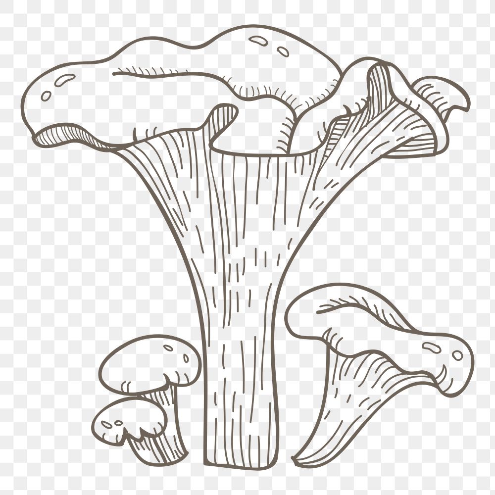 Mushroom png vegetable, transparent background