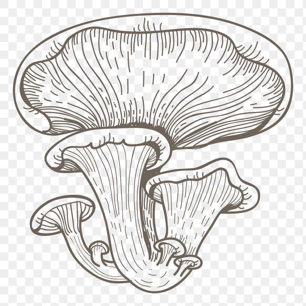 Mushroom png line art, transparent background