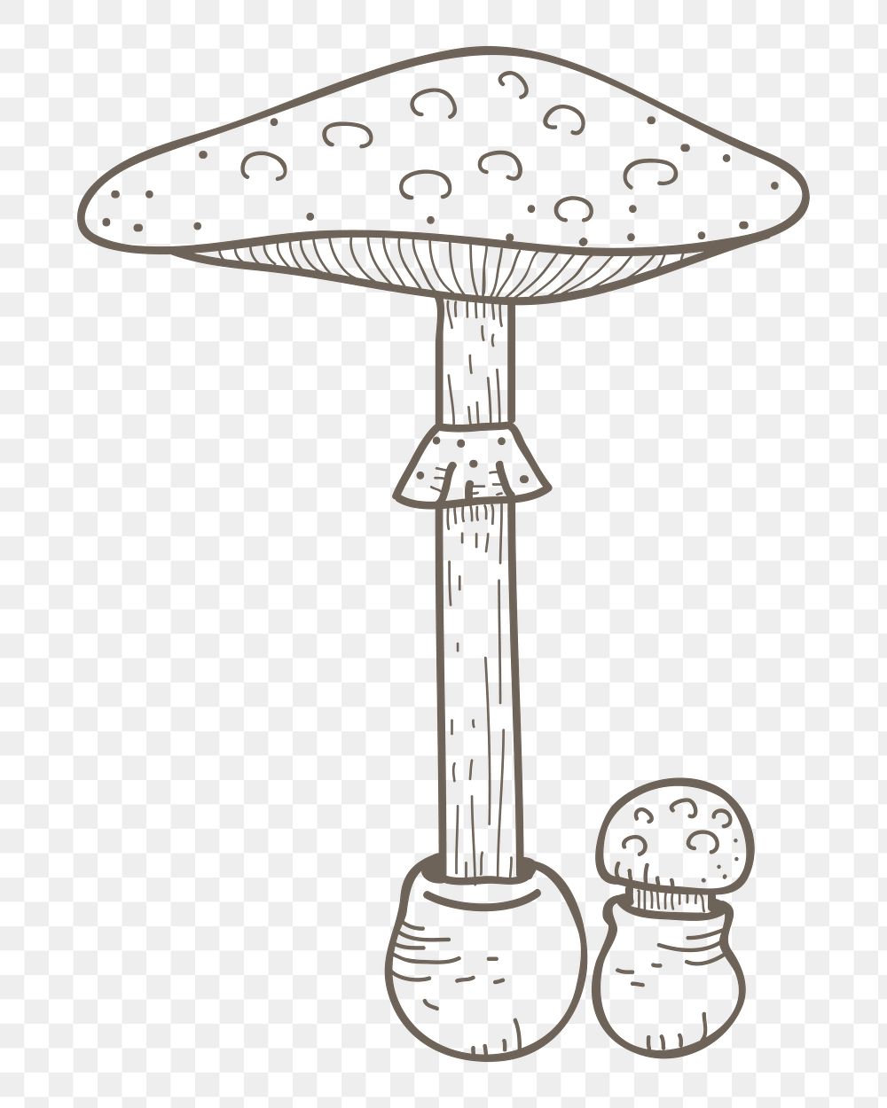 Mushroom png vegetable, transparent background