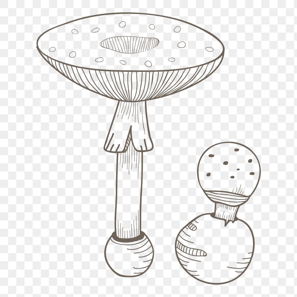 Mushroom png vegetable, transparent background