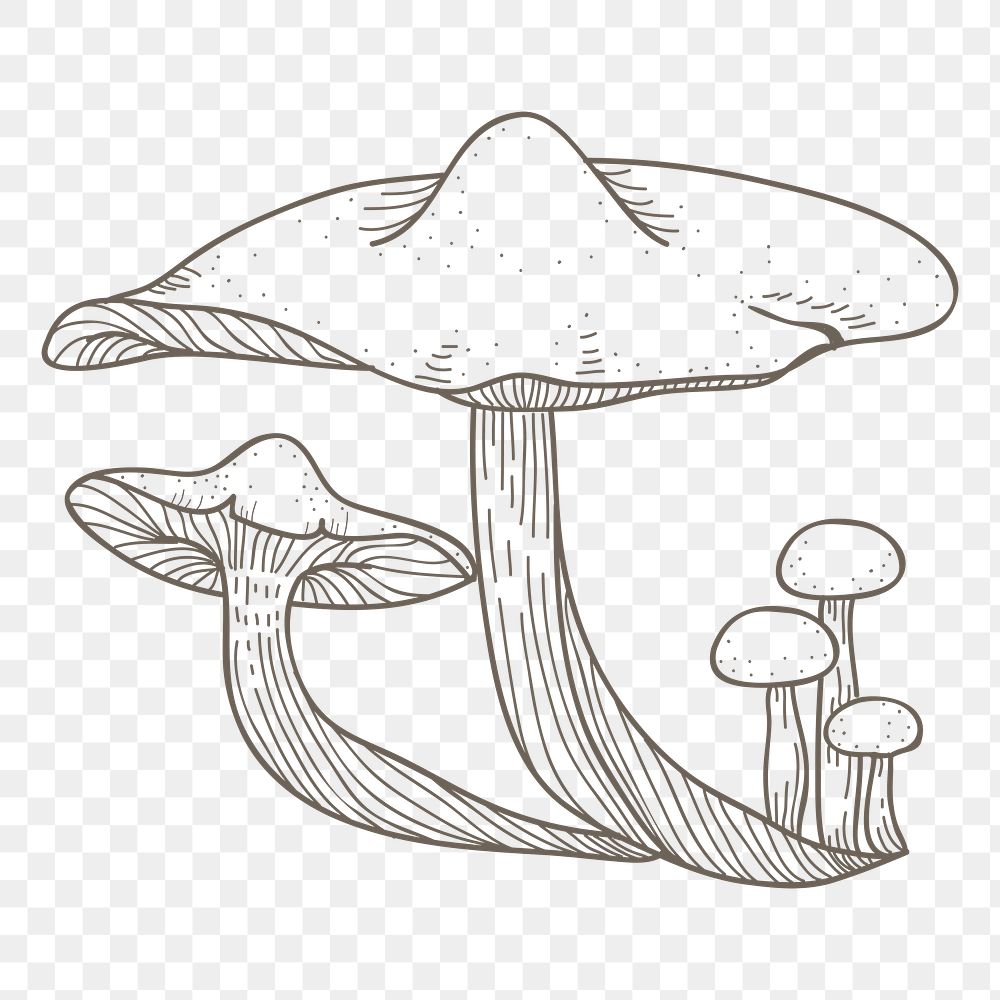 Mushroom png line art, transparent background