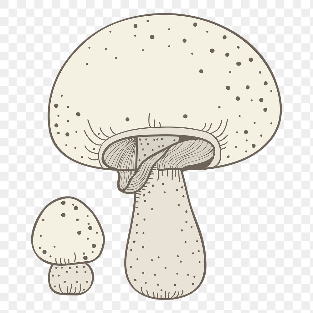 Mushroom png vegetable sticker, transparent background