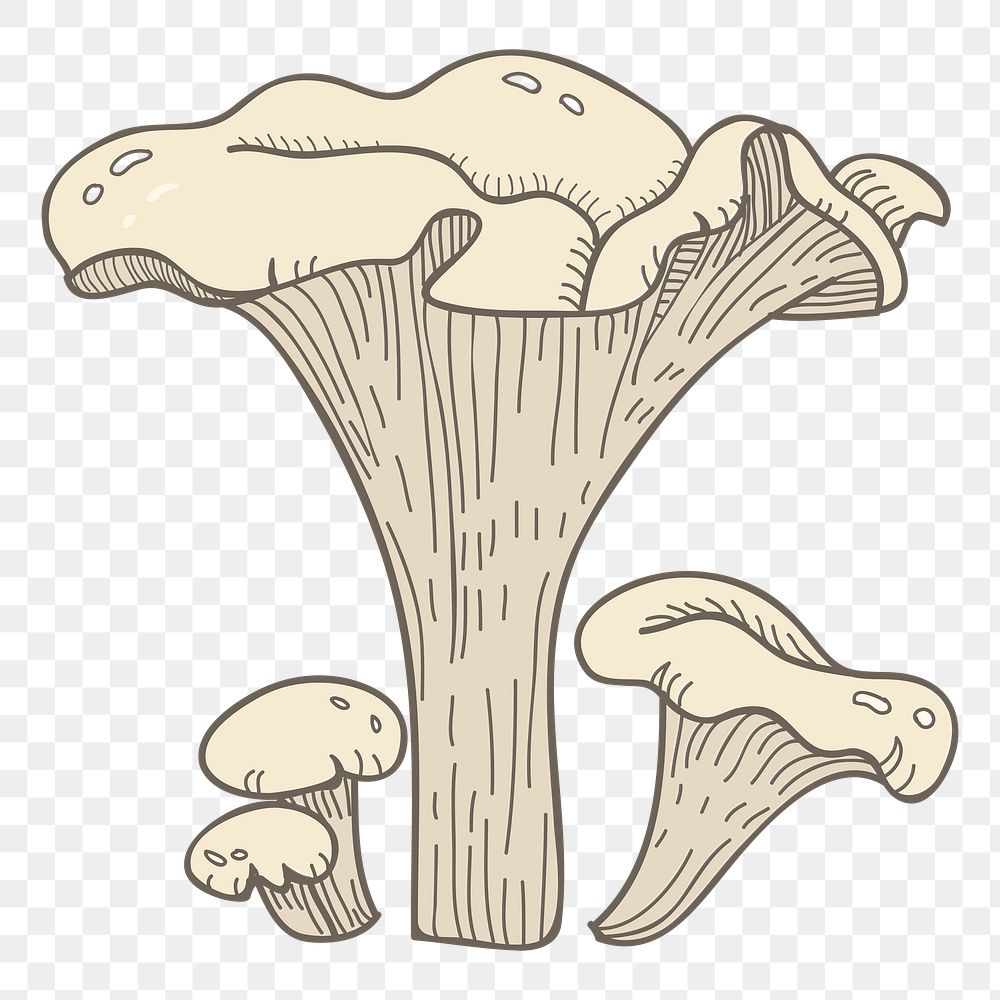 Mushroom png fungi sticker, transparent background