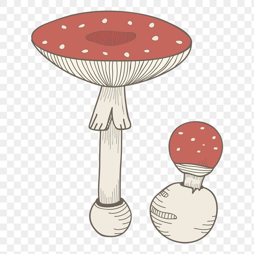 Mushroom png fungi sticker, transparent background