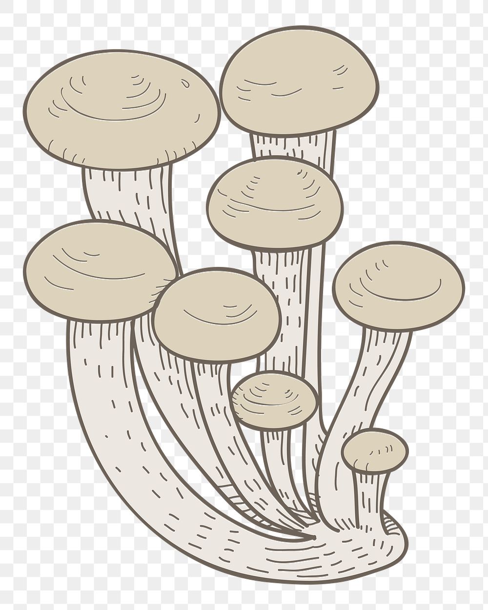 Mushroom png vegetable sticker, transparent background