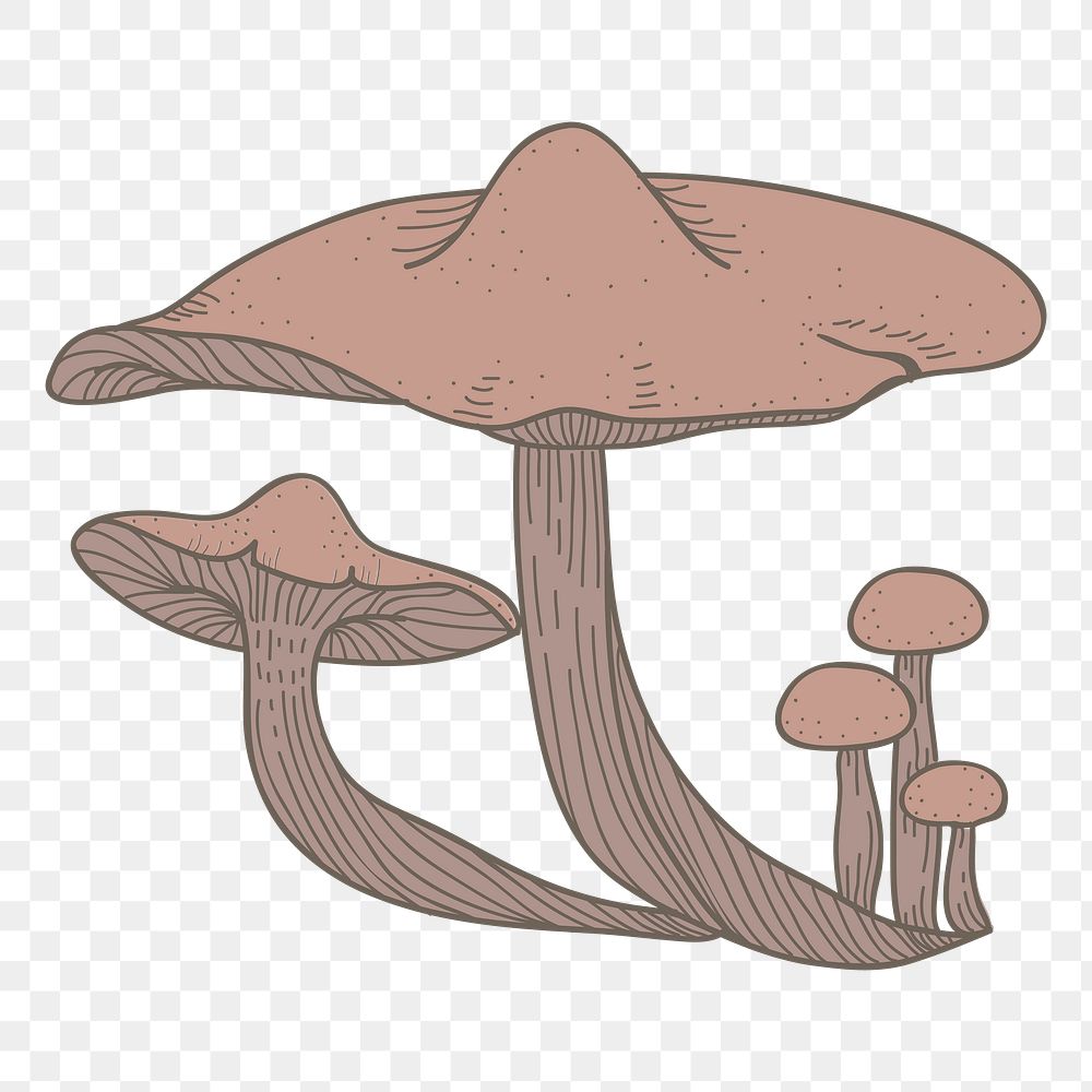 Mushroom png vegetable sticker, transparent background