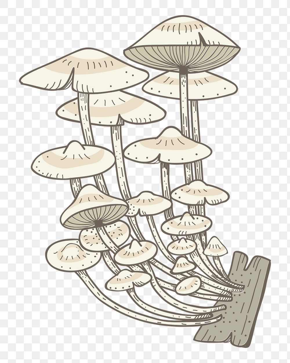 Mushroom png healthy food sticker, transparent background