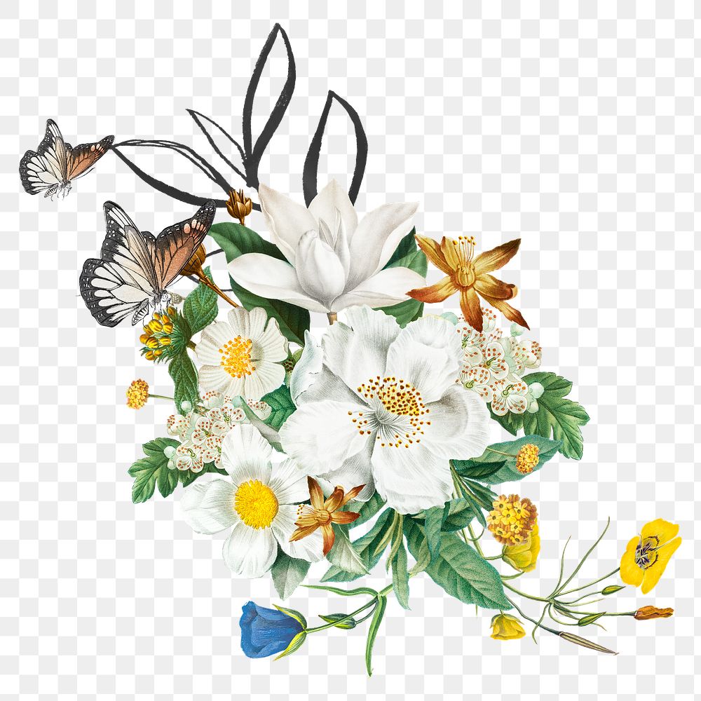 Aesthetic white flowers png element, transparent background