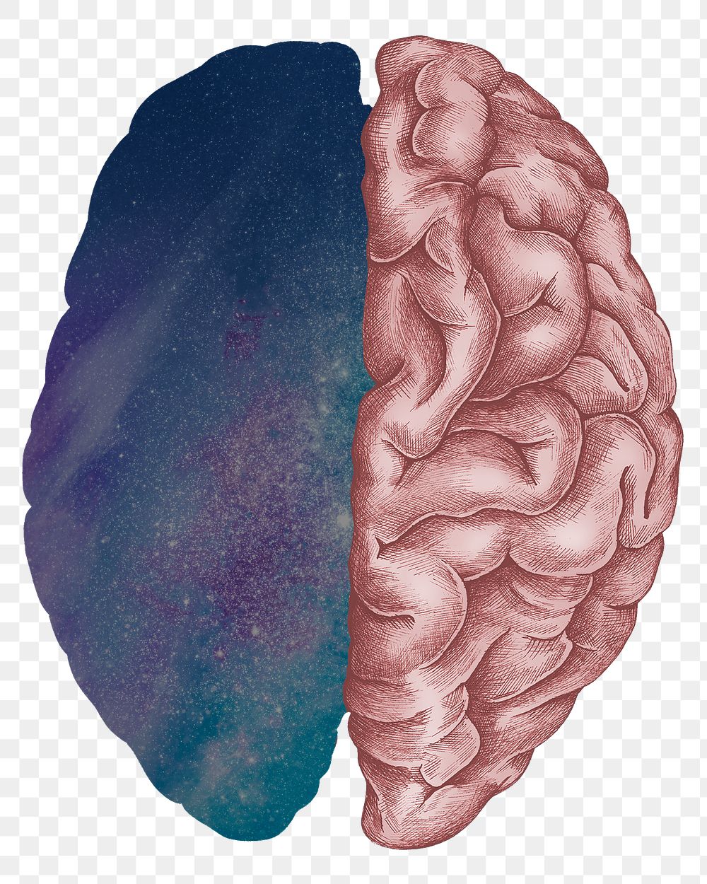 Surreal galaxy human brain png, transparent background