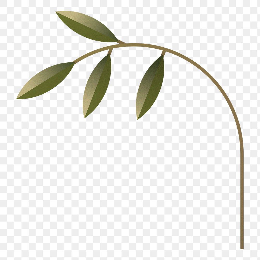 Png geometric plant branch illustration, transparent background
