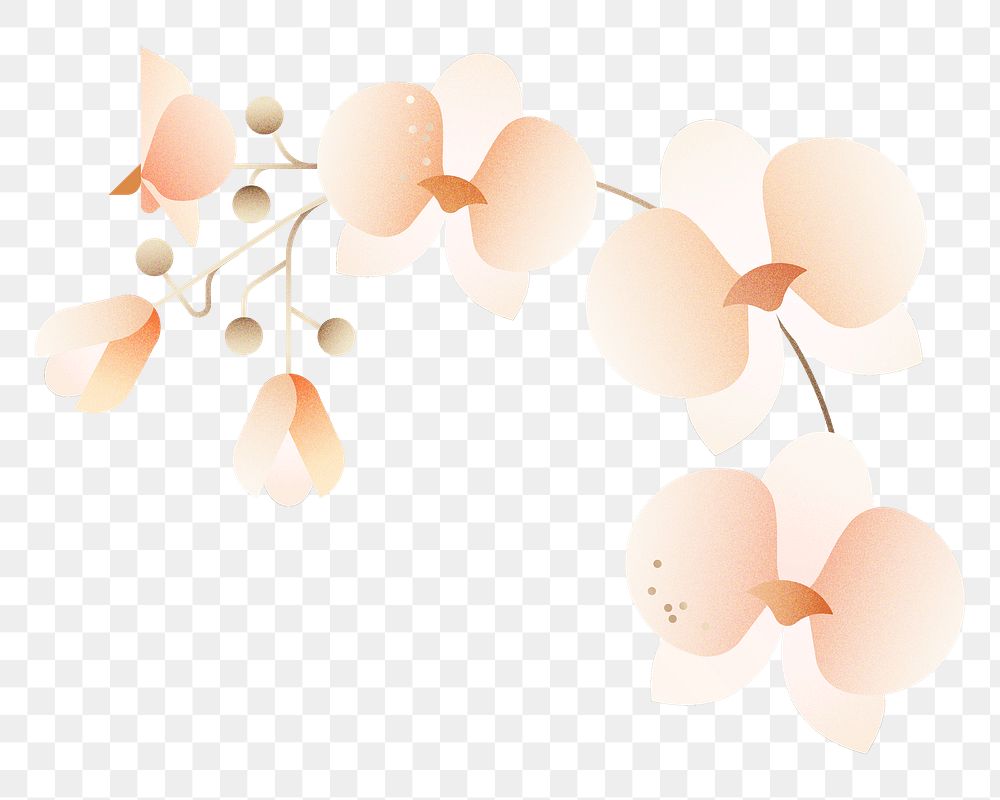 Png geometric orchid flower illustration, transparent background
