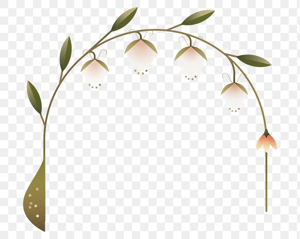 Png Spring flower arch border, transparent background