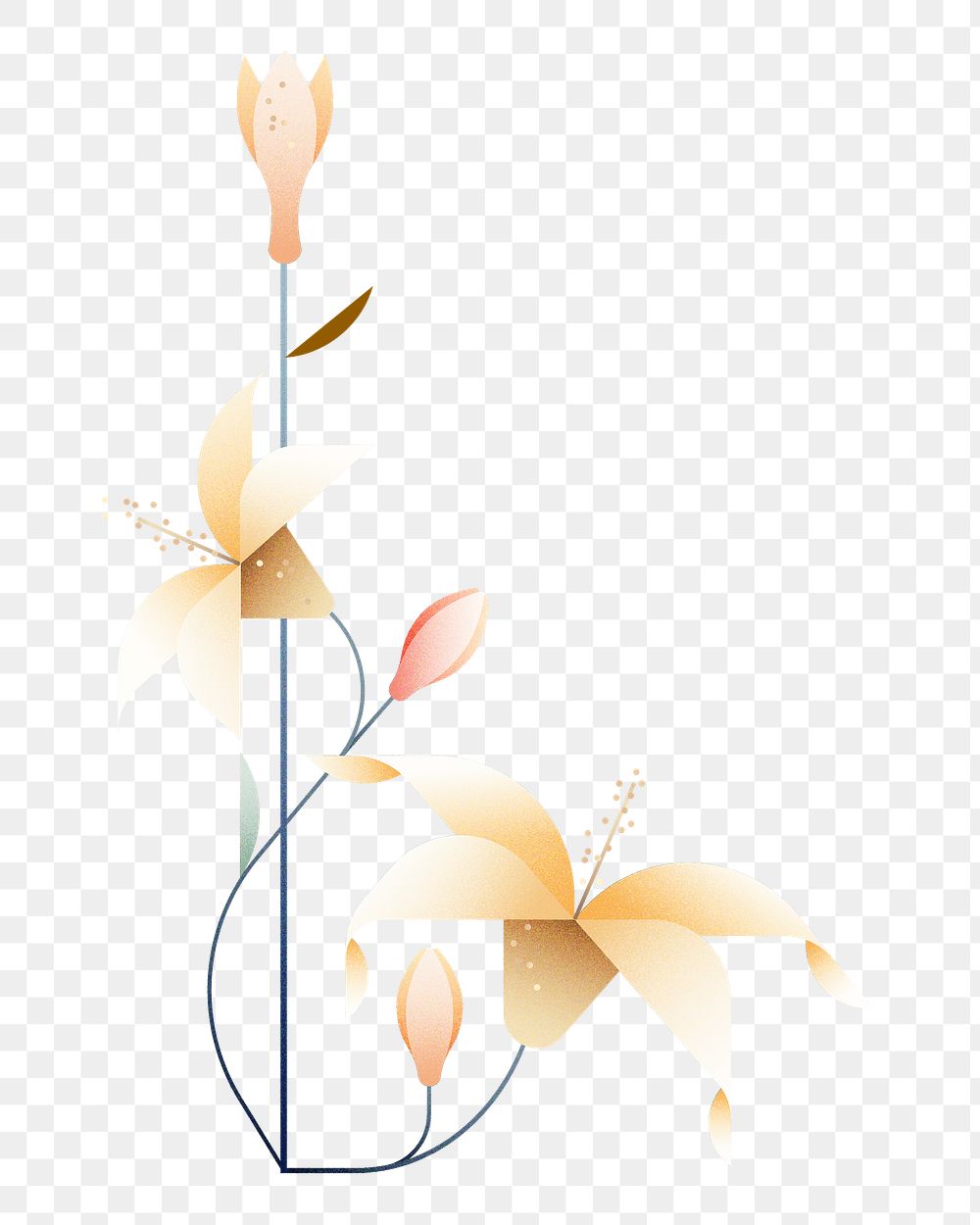 Png geometric lily flower illustration, transparent background