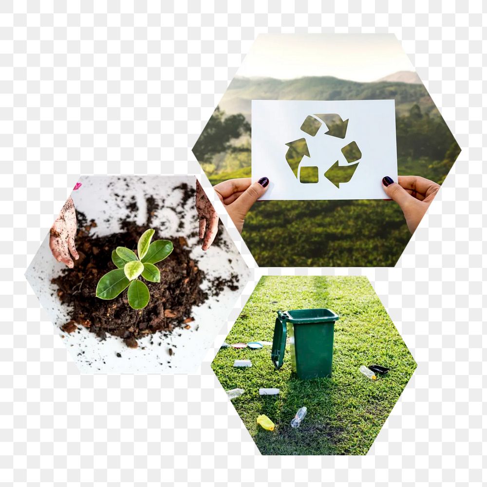 Sustainable recycling  png hexagonal sticker, transparent background