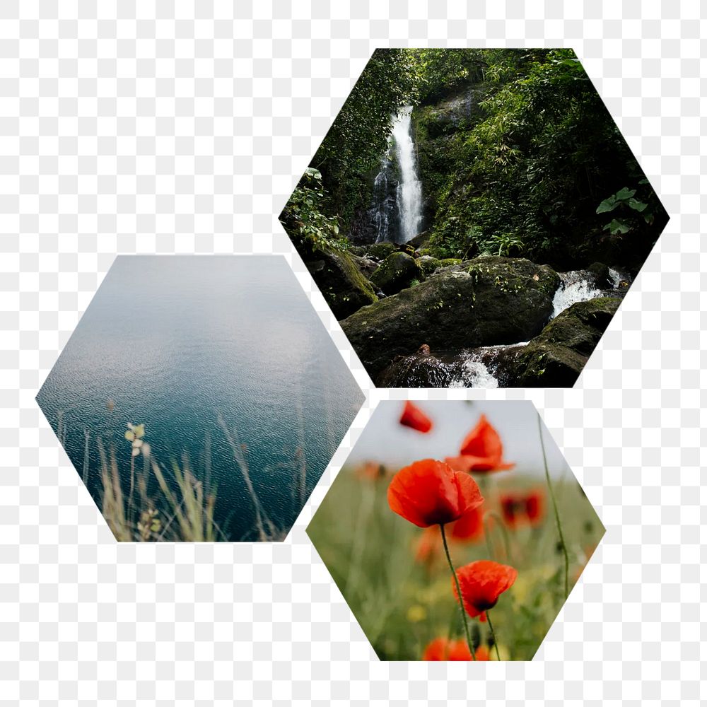 Beautiful landscapes  png hexagonal sticker, transparent background