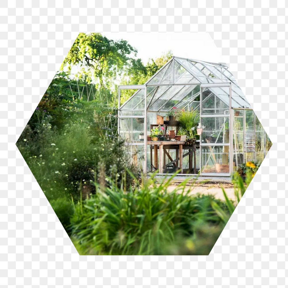 Glass greenhouse  png hexagonal sticker, transparent background