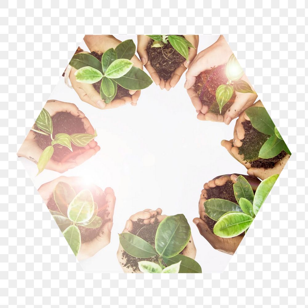 Environmental community  png hexagonal sticker, transparent background