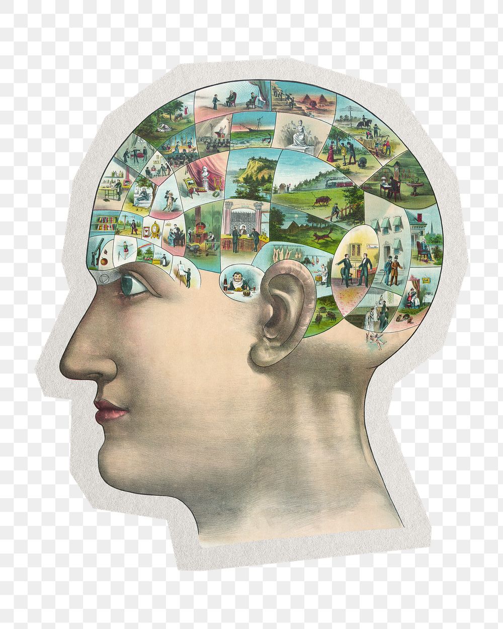 PNG human mind sticker with white border,  transparent background