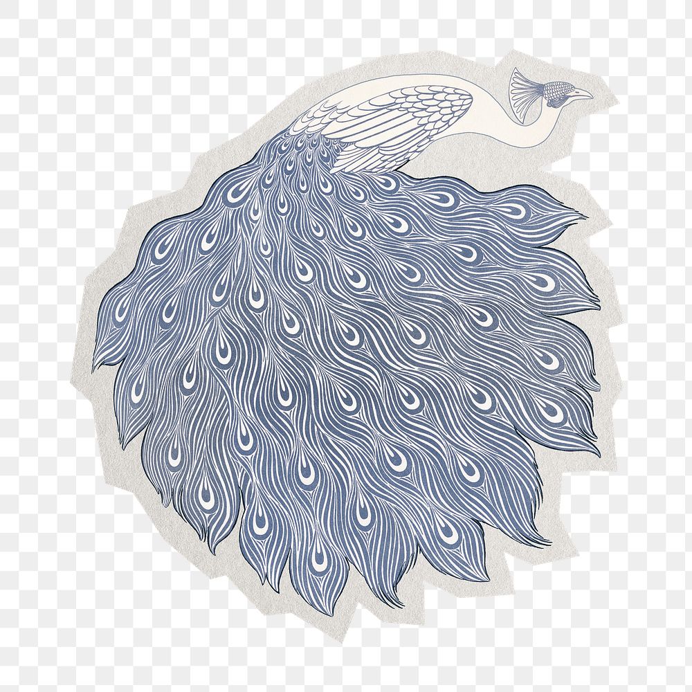 PNG vintage peacock sticker with white border,  transparent background