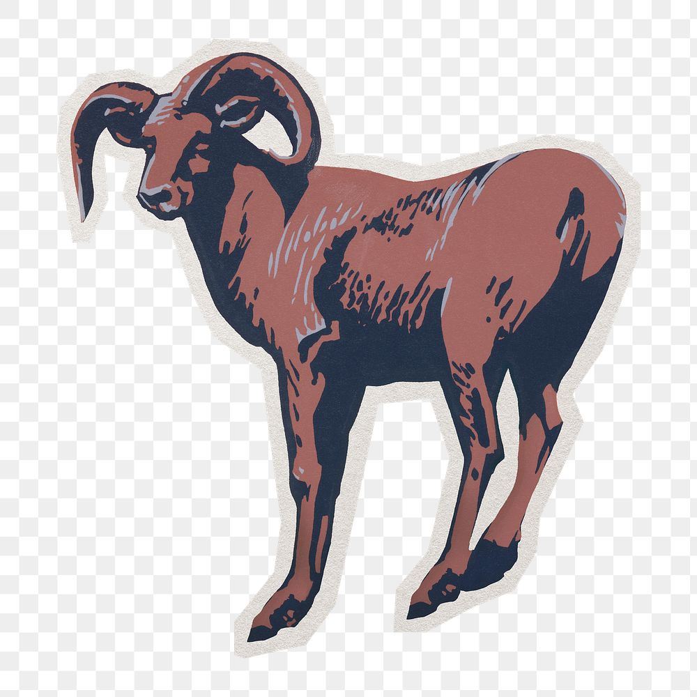 PNG vintage Bighorn sheep sticker with white border,  transparent background