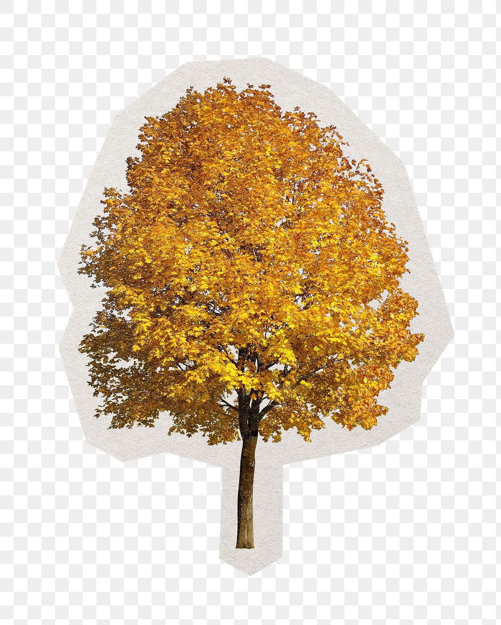 PNG fall tree sticker with white border, transparent background