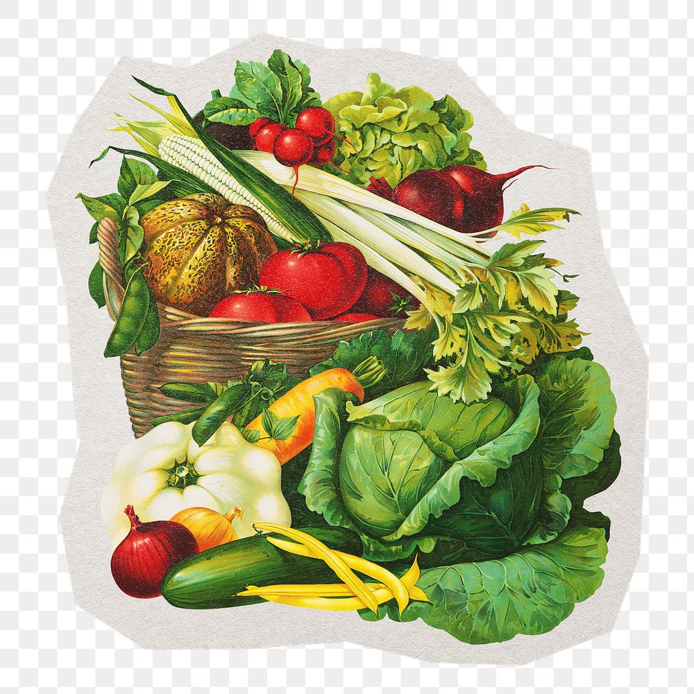 PNG vegetable sticker with white border, transparent background