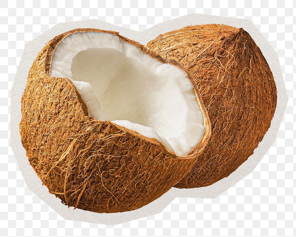 PNG coconut sticker with white border, transparent background