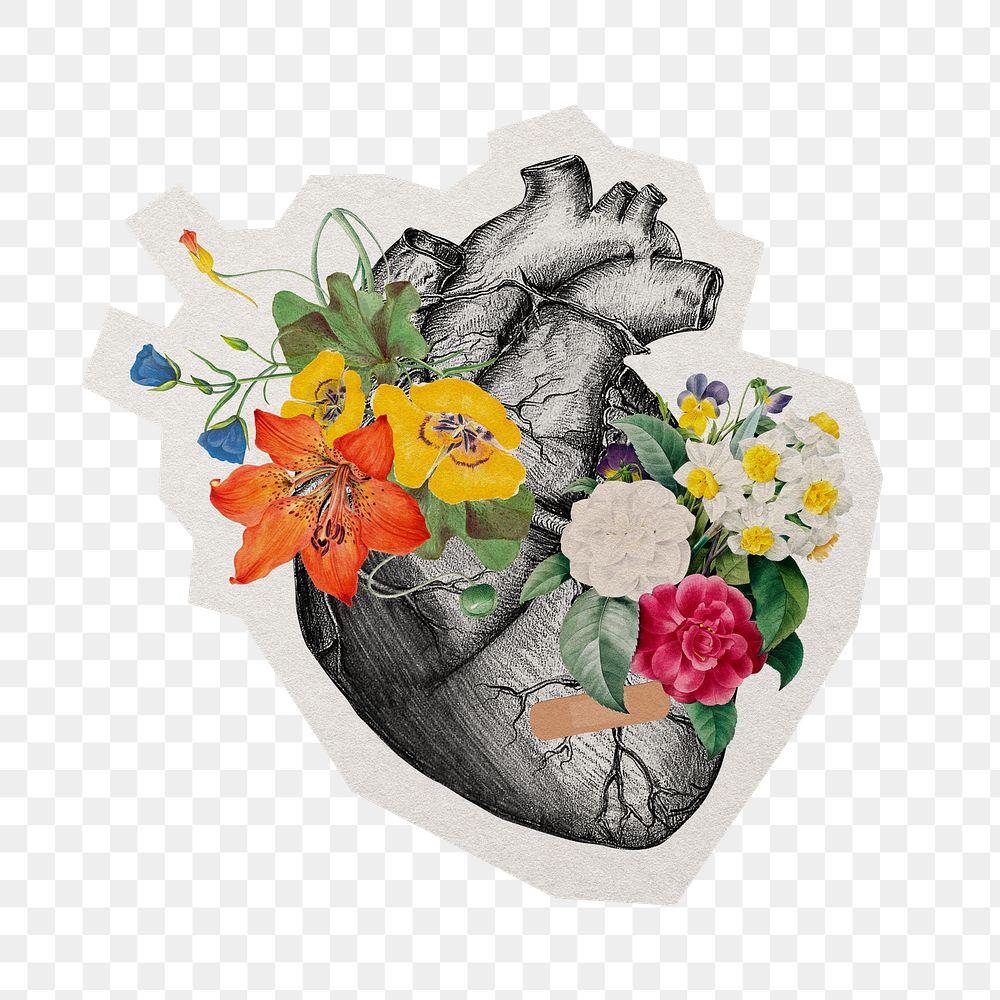 PNG beautiful heart sticker with white border, transparent background