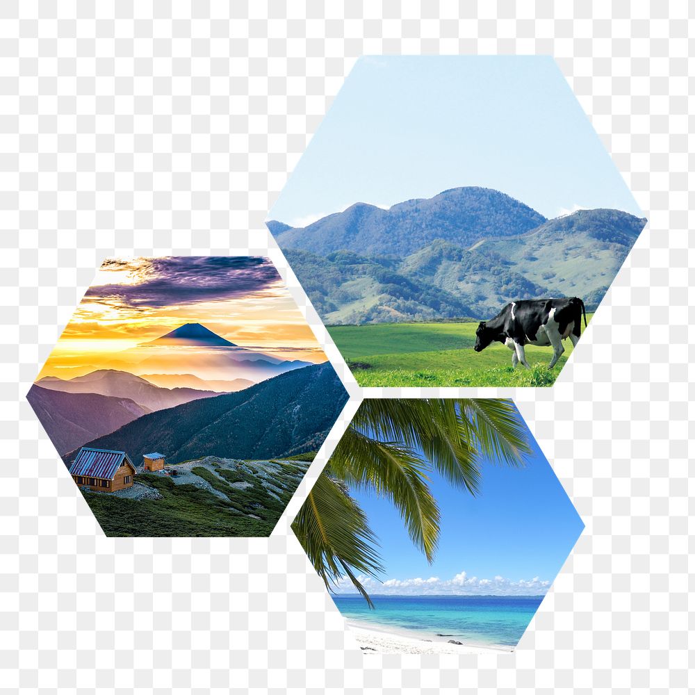 PNG Nature & travel in hexagon shape, transparent background