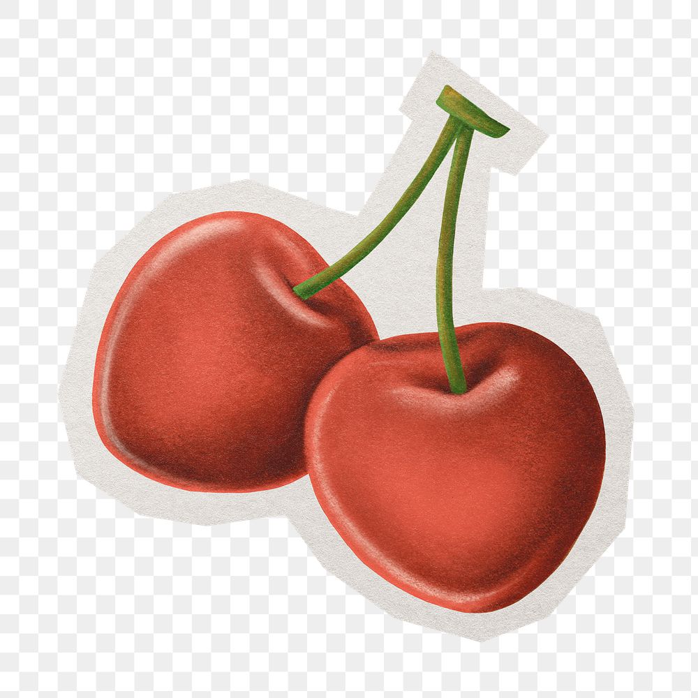 PNG realistic cherry sticker  white border, transparent background