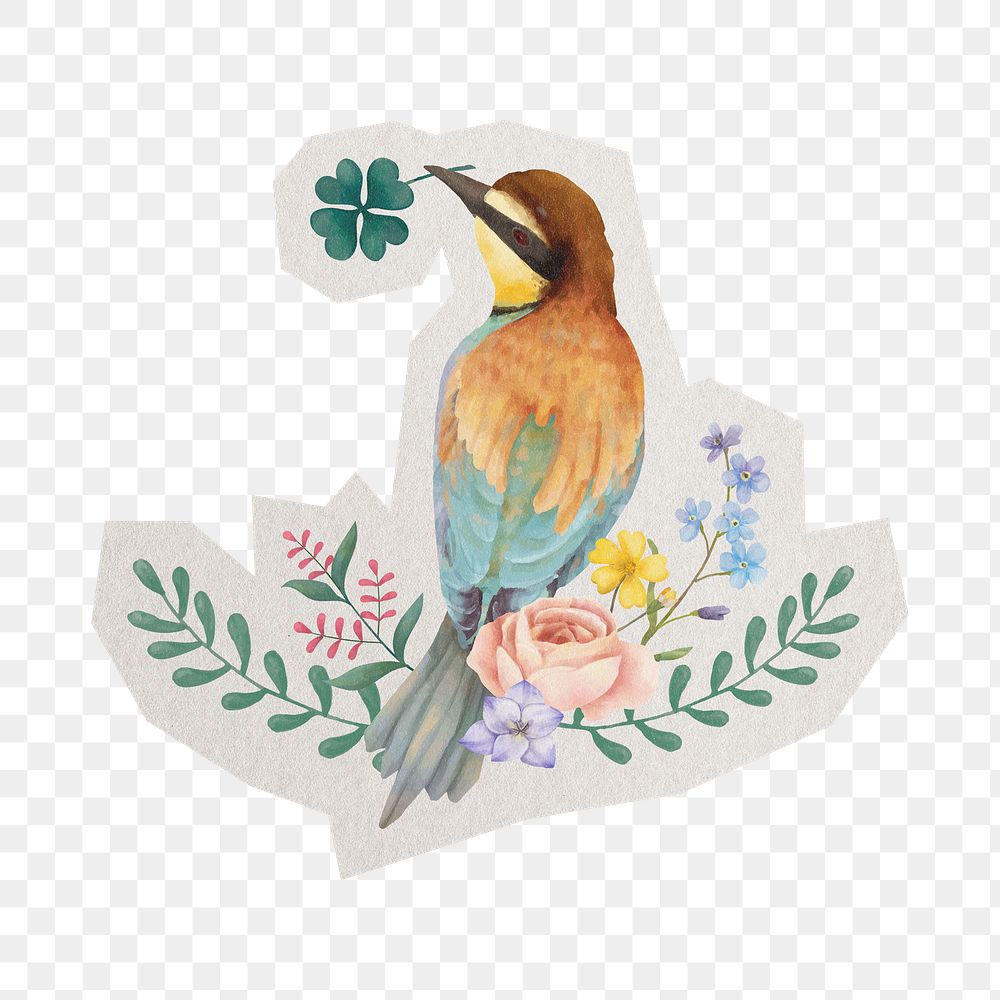 PNG watercolor bird sticker  white border, transparent background