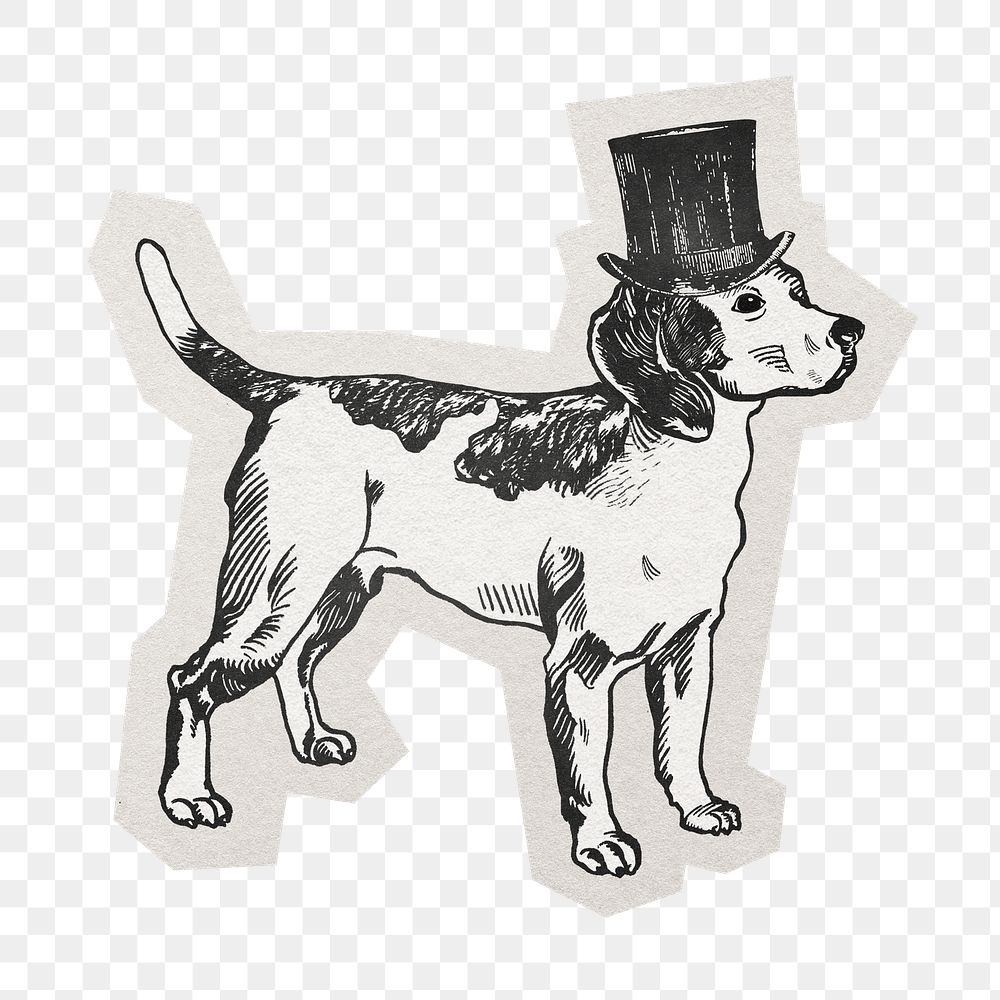PNG Beagle dog sticker  white border, transparent background
