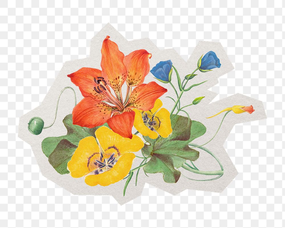 PNG spring flower sticker  white border, transparent background