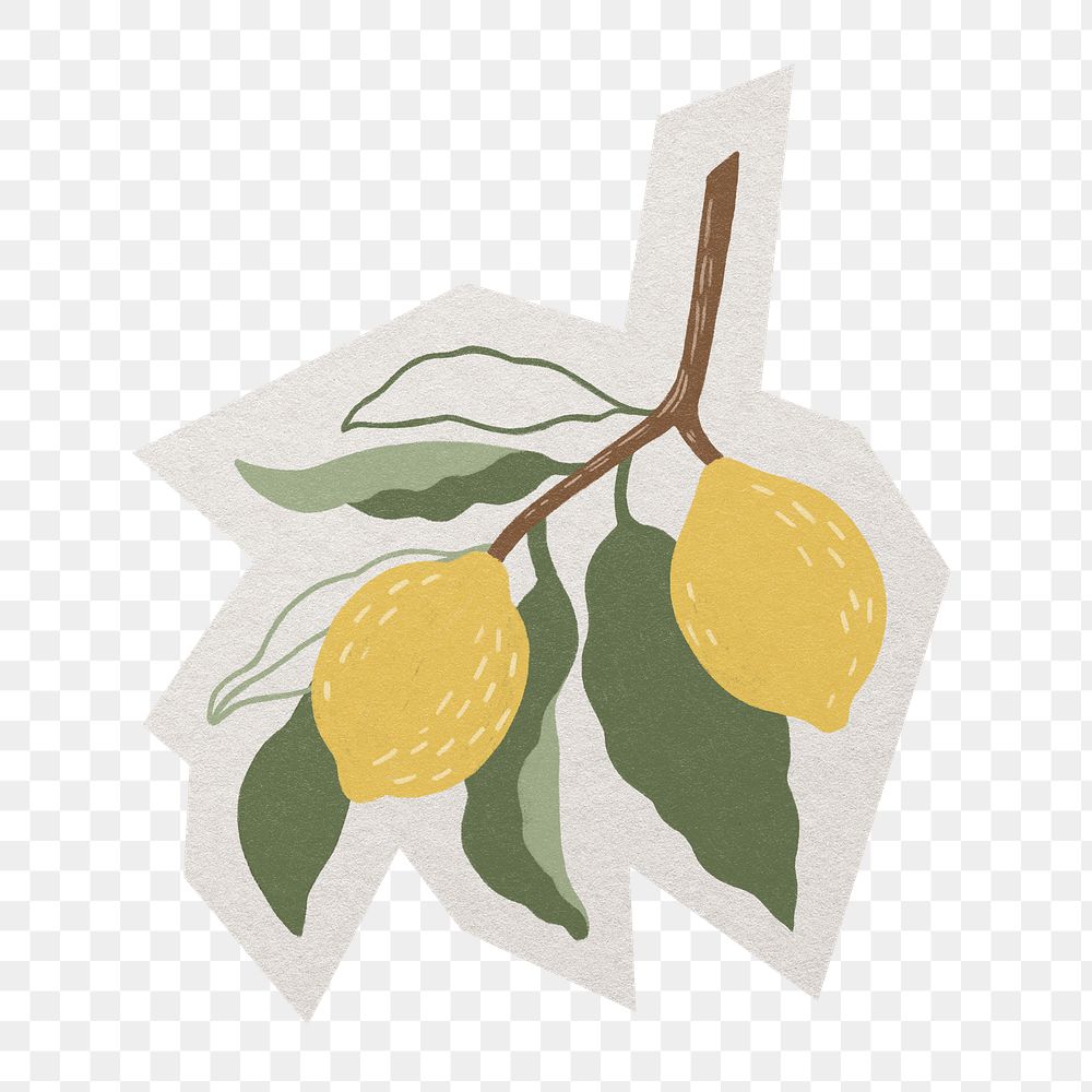 PNG hand drawn lemon sticker  white border,  transparent background