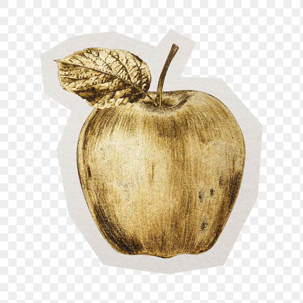 PNG Gold apple fruit sticker with white border, transparent background