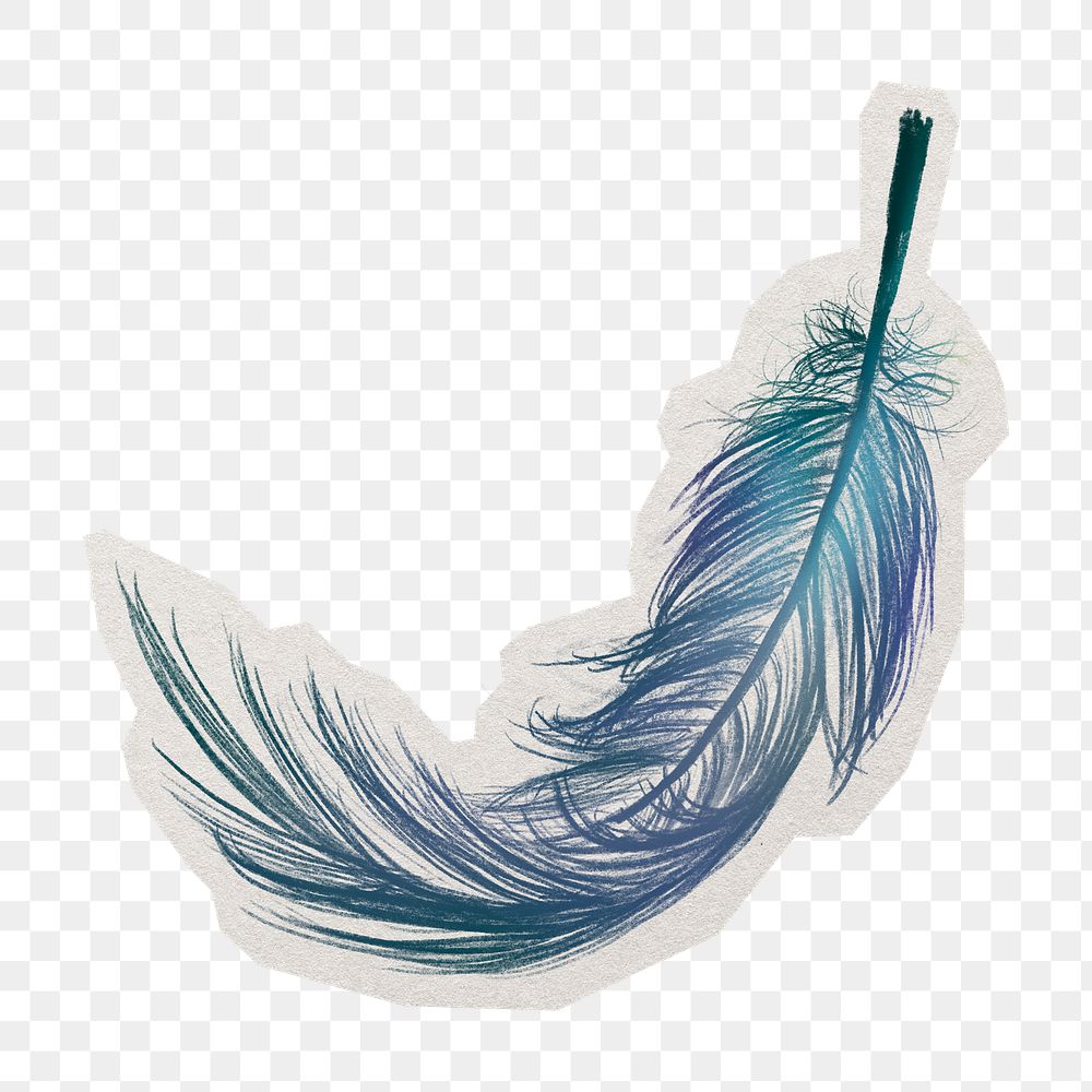 PNG blue feather sticker with white border, transparent background