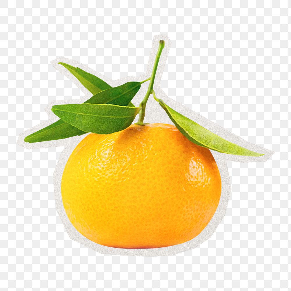 PNG orange fruit sticker with white border, transparent background