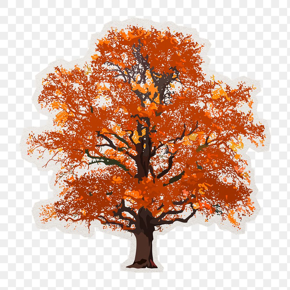 PNG autumn tree sticker with white border, transparent background