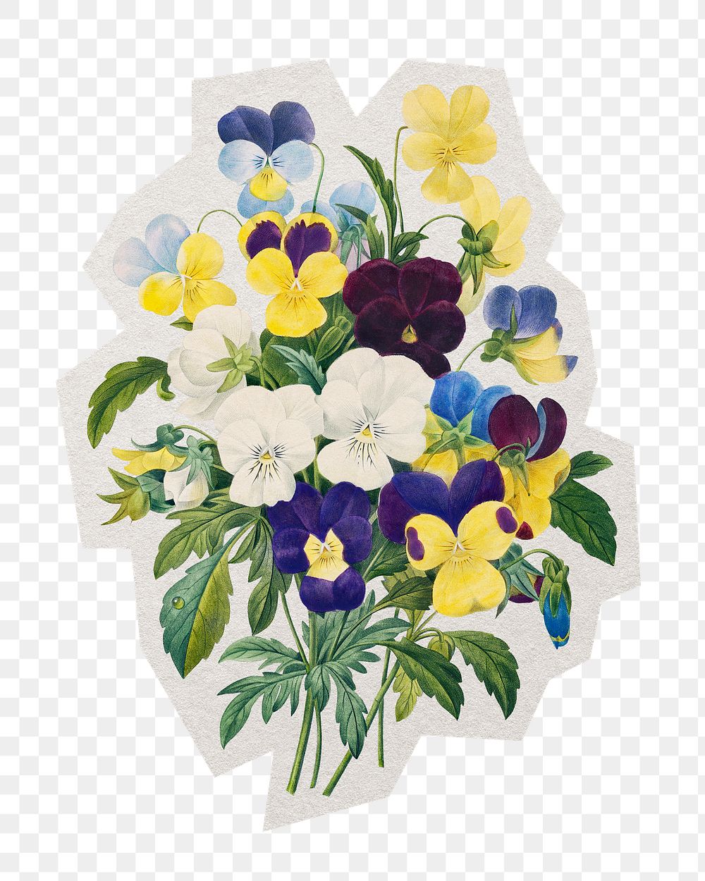 PNG Pansy flower bouquet sticker with white border, transparent background 